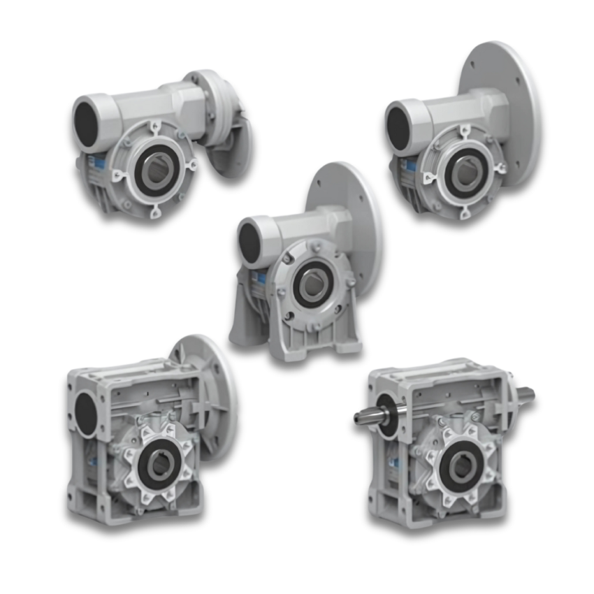 Worm Gearbox (3)